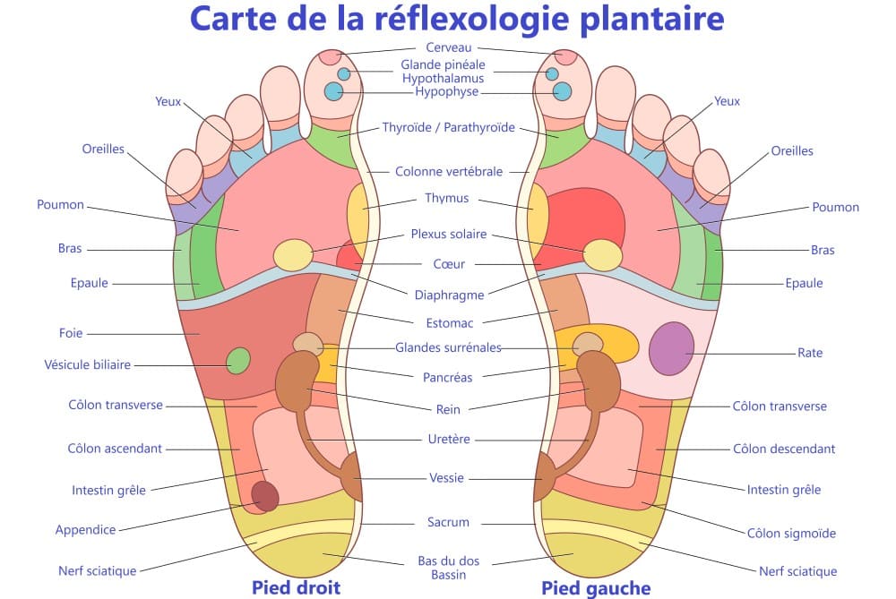 Réflexologie plantaire carte