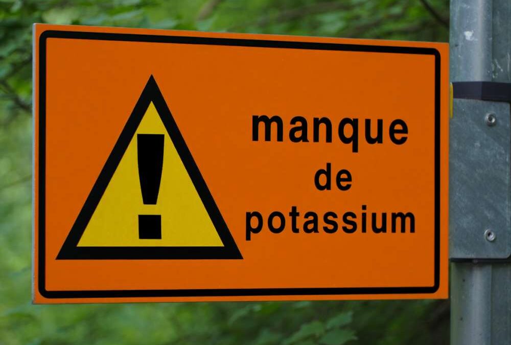 Quelle maladie provoque un manque de potassium ?
