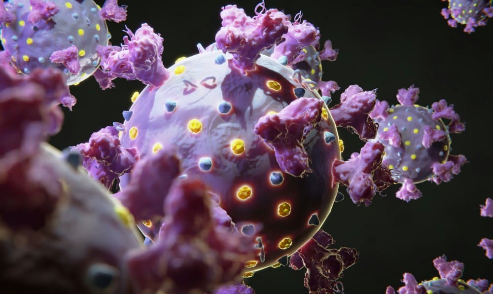 Cellule cancéreuse du côlon, christophe Pinna quel cancer