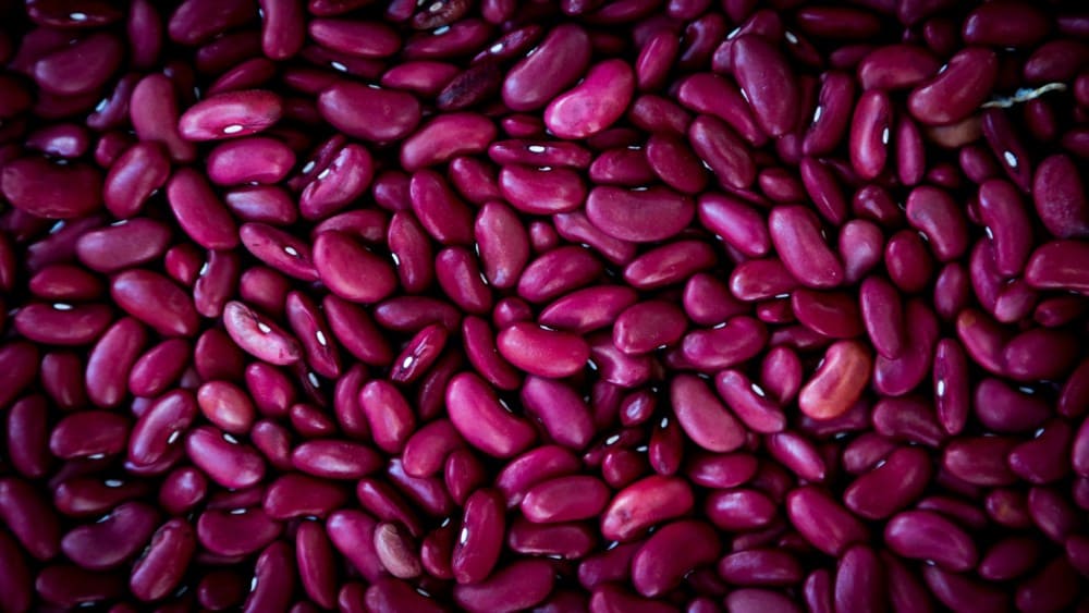 Aliment riche en protéine haricots rouges
