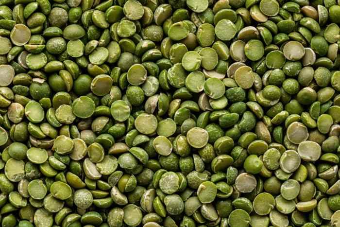 Lentilles aliments riches en protéines