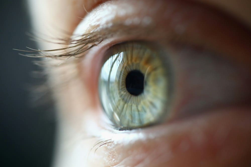 DMLA sèche nouveaux traitements oeil bleu
