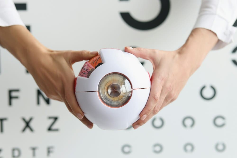 Découpe d'un oeil
